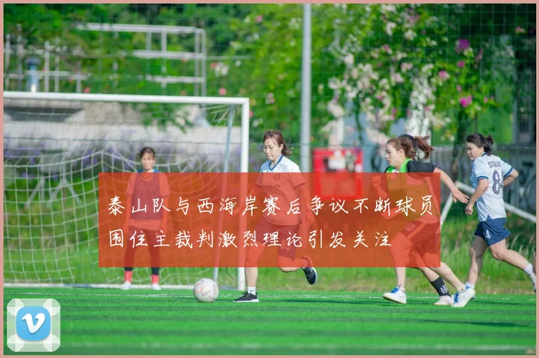 泰山队与西海岸赛后争议不断球员围住主裁判激烈理论引发关注